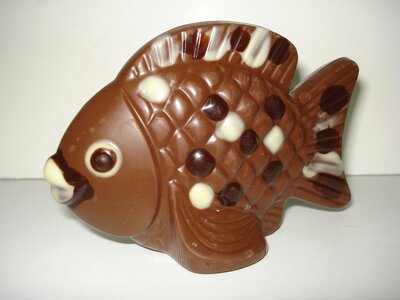 Moulage poisson