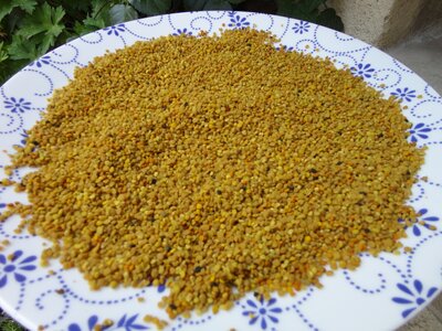 Pollen frais congelé 200g