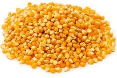 Maïs grain