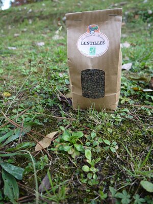 Lentille verte bio
