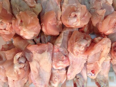 Blanquette de poulet  1 kg