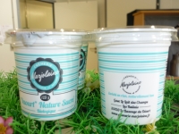 Yaourts natures sucrés bio