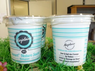 Yaourts natures sucrés bio