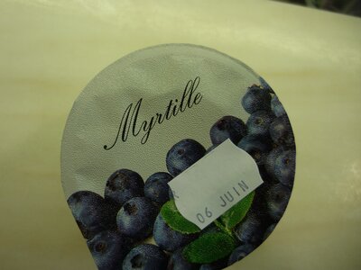 Yaourts brassés myrtille bio