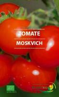 Plant de tomate 'moskvich'