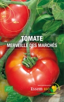 Plant de tomate 'merveilles des marc