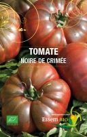 Plant tomate ' noire de crimée'