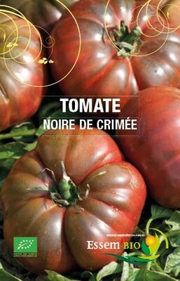 Plant tomate ' noire de crimée'