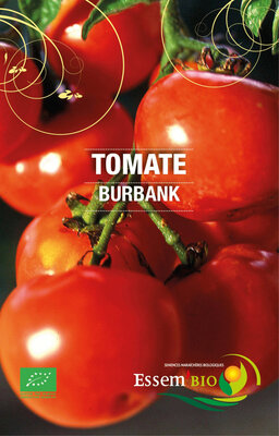 Plant tomate ' burbank'