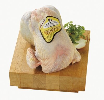 Poule