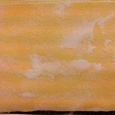 Feuille de pâte fraiche aux oeufs