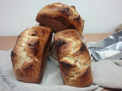 Brioche nature