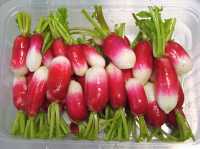 ** barquette de radis prêt à manger