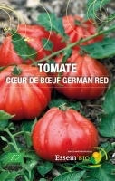 Plant tomate 'german red'