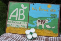 * 4 x yaourts bio pomme cerise cannelle