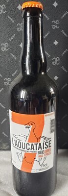 Bière ambrée aux epices 7,2°