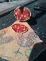 Chorizo doux de taureau