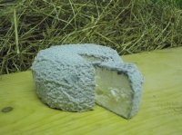 Fromage de chèvre cendré