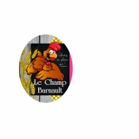 Poulets fermiers prêt à cuire