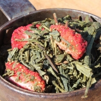 Thé vert sencha « crazy »