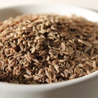 Aneth graines