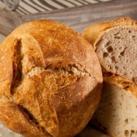 Pain bis sans sel bio