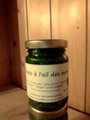Pesto à l'ail des ours