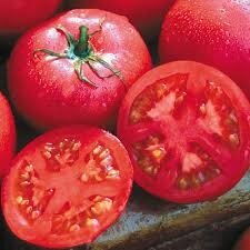 Plant de tomate eva's purple ball