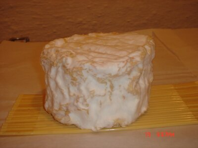Petit chaource aop
