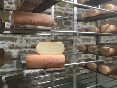 Tomme fermière de morteau 500g 3 m