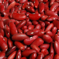 Haricot rouge (inclus consigne)