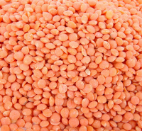 Lentille corail (inclus consigne)