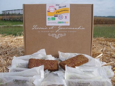 Box: energie