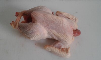 Poule 1.4 kg (+ ou -100 g)