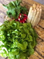 Trio de légumes printaniers