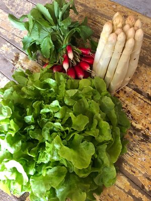 Trio de légumes printaniers