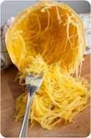 Plant de courge spaghetti