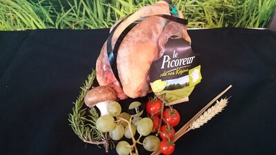 Pintade bio