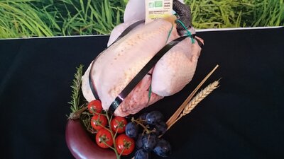 Poulet blanc pattes noire bio