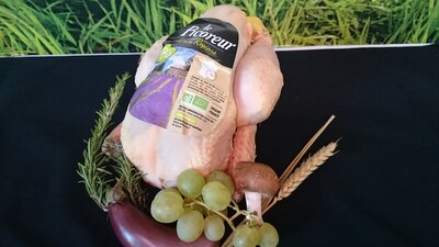 Poulet jaune bio