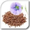 Graines de lin brun bio