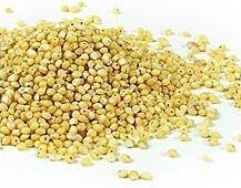 Graines de millet