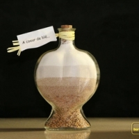 La sélection découverte