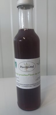 Sirop de groseille / fleurs de surea
