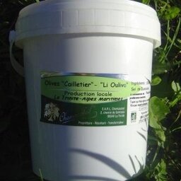 Olives cailletier bio
