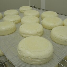 Munster blanc