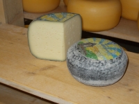 Gouda de brebis nature, 270-330gr