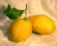 Thé vert ceylan menthe et bergamote