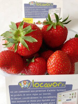 2 mariguettes + 1 charlotte. soit 3 barquettes de fraises