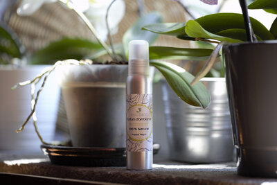 ' bzzz' parfum d'ambiance répulsif